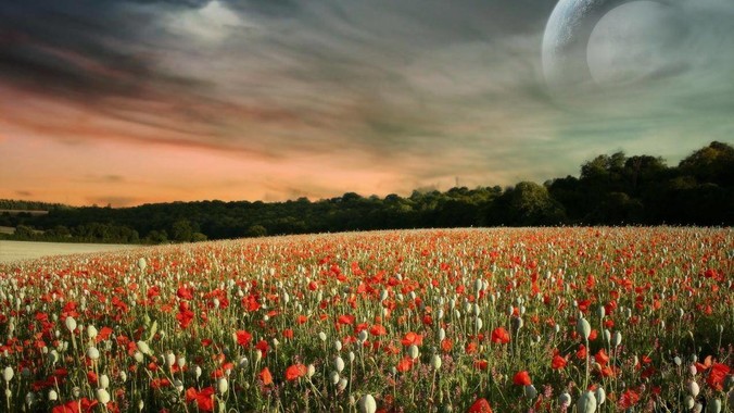 如何看待湖北一医院婚检查出艾滋医生未告知伴侣致感染,医生被停职?反映出哪些问题?